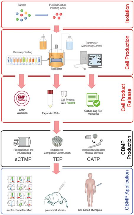 cbmp workflow system.